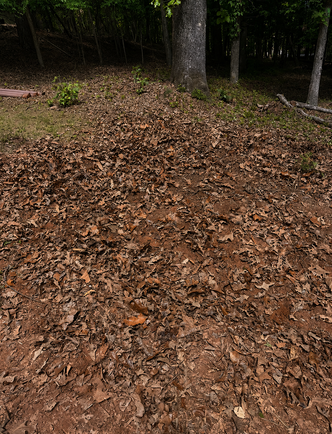 Construction Debris Removal after service